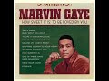 Marvin%20Gaye%20-%20How%20Sweet%20It%20Is%20-%20Gold