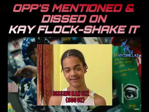 Everybody Dissed and Mentioned in Kay Flock - Shake it