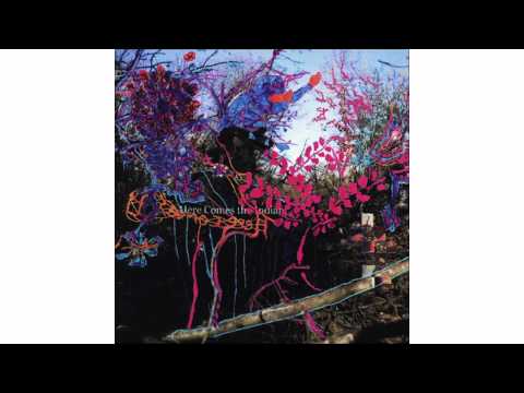 Animal Collective - Infant Dressing Table