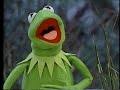 Sesame Street Tadpole 1987