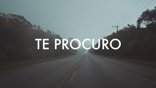 Anavitória - Te Procuro (Visualizer)