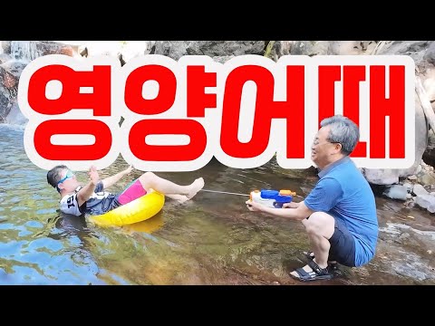 [영양군] 여러분 때가 됐어요 feat.영양어때 / 여기어때 패러디