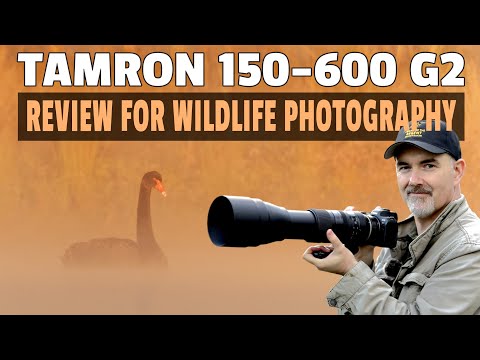 Tamron 150-600mm G2 Review - The AFFORDABLE Wildlife Lens - Can You Take Nice Shots?