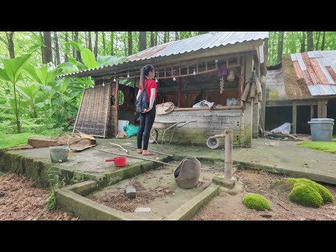 Jeg kom tilbage til mit gamle hus efter flere år og begyndte at renovere det fra bunden.