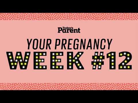 Your pregnancy: 12 weeks