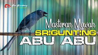 Download lagu SRIGUNTING ABU ABU GACOR ISIAN MEWAH NEMBAK NEMBAK... mp3