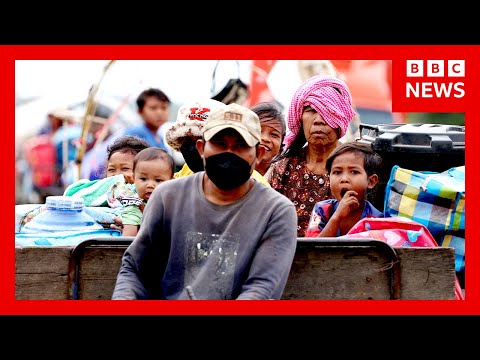 Video | Half a million displaced as Thailand-Cambodia clashes continue | BBC News