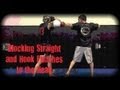 Muay Thai - How to Block Straight and Hook Punches ...