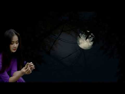 Gửi nắng cho anh - Từ Công Phụng