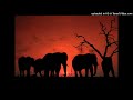 Dj Zinhle Feat Busiswa Gqulu My Name Is Instrumental