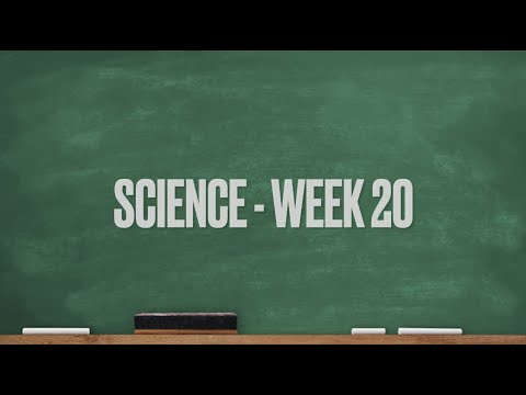 CC Cycle 1 Week 20 Science