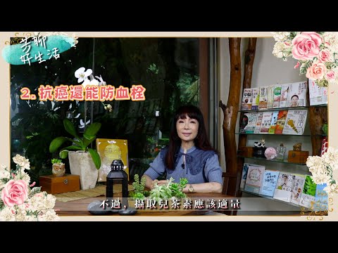Tp＆b 天然有機精油芳療SPA 【芳聊好生活】 EP16｜『綠茶養顏美容的5大功效!!!』｜ 高雄spa 精油按摩 芳療 高雄spa推薦
