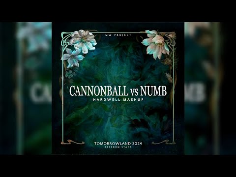 Cannonball vs Numb (Hardwell Mashup)