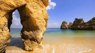 Competition Smile - Gin Blossoms