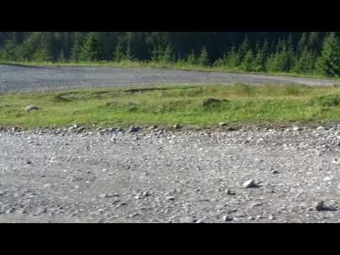 Drumul spre Santimbru Bai.