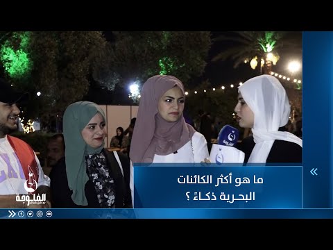 شاهد بالفيديو.. ما هو أكثر الكائنات البحرية ذكاءً ؟