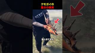 クモガイの驚きの真実