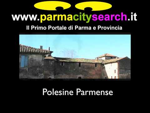 polesineparmense_parmacitysearch.mov