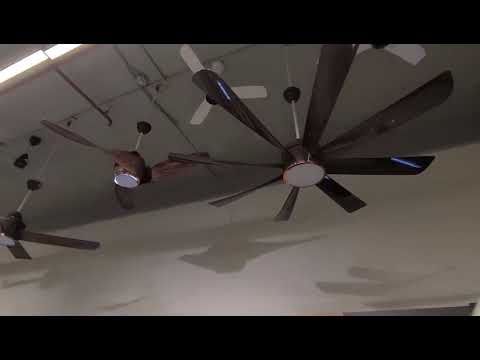 PRISM ENTERPRISES BRANCH 1
