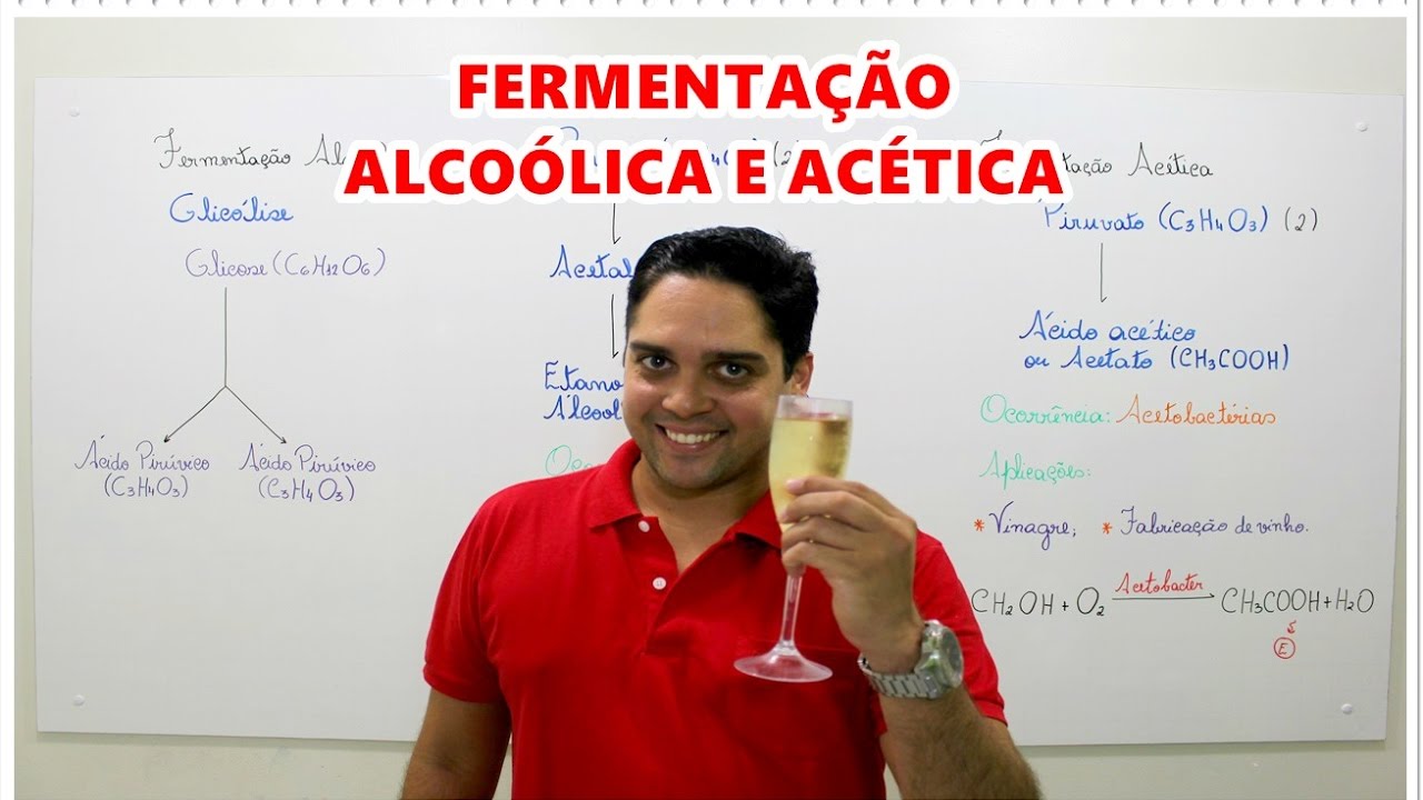 FERMENTAÇÃO ALCOÓLICA E ACÉTICA