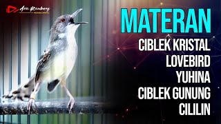 Download lagu MASTERAN CIBLEK KRISTAL - LOVEBIRD - YUHINA - CIBLEK GUNUNG - CILILIN mp3
