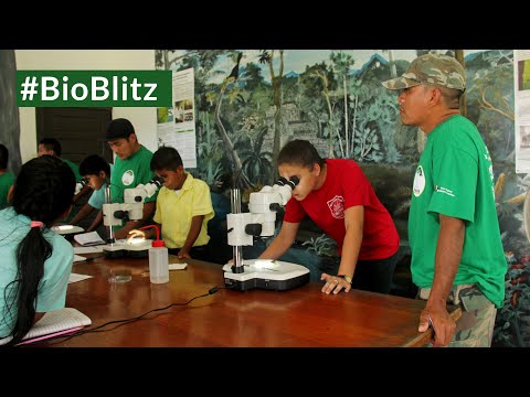 Help 200 children of Toledo attend Bioblitz