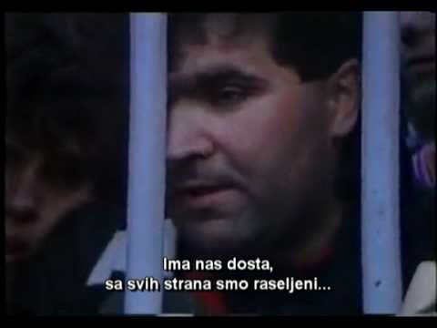 Gde su koreni - Grobari i Delije (Ko je ko?)