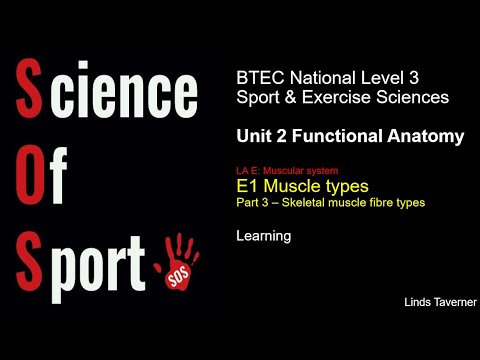 Unit 2 Functional Anatomy - E1 Muscle types (Part 3) Muscle fibres