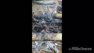 Download lagu Nyambelll belutt mantulll masak sendiri mkn sendiri😂😂😂 mp3