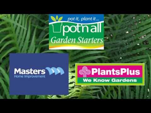 Blechnum Silver Lady Plant Profile: Pot'n all Garden Starters Video
