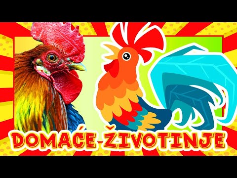 Domaće životinje i njihovo glasanje 🐄🐖 Edukativni video za djecu uz videozapise pravih životinja