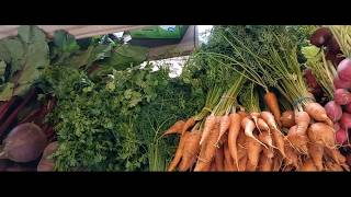 Adventure To Florence, Alabama Farmers Market and Back