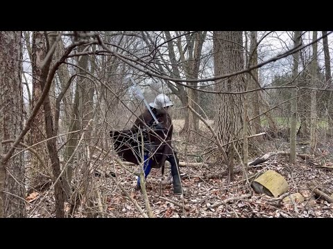 Reverence and Retribution