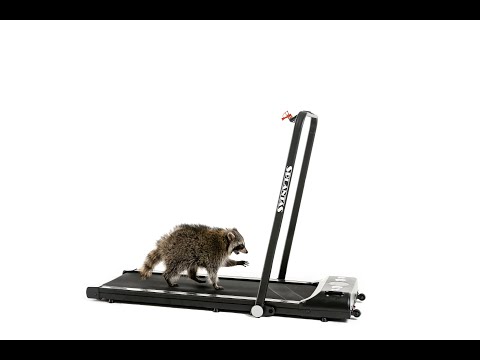 Миниатюра изображения товара Электрическая беговая дорожка PLANTA ТМ-300