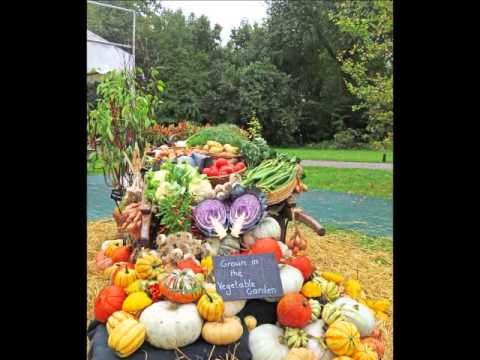 Taste of Autumn at RHS Garden Wisley