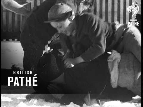 Czech Village In Winter (1964)