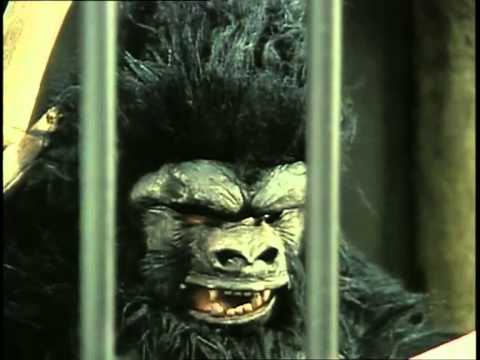 Full Episode Jeeves and Wooster S04 E2: Lady Florence Craye Arrives in New York