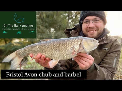 Chub and Barbel Fishing on the Bristol Avon at Lacock