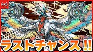 【パズドラ】ブレイブXドラゴンを手に入れるラストチャンスガチャ配信 #shorts #パズドラ #ドラゴン縛り
