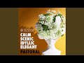 Suite Bergamasque For Solo Piano III Clair De Lune