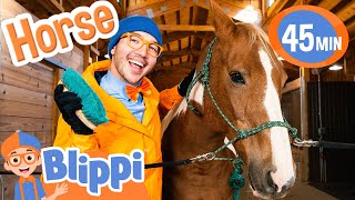 Blippi Learns about Horses at the Ranch Animal s for Kids Mp4 3GP & Mp3