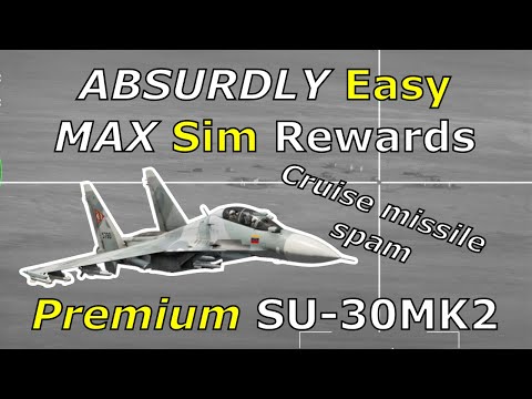 PREMIUM Su-30 BIZAR Kh59 spam in sim