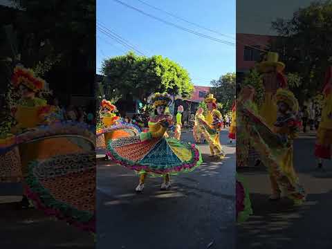 Santo Domingo de Guzman presente En Correo de Sonsonate