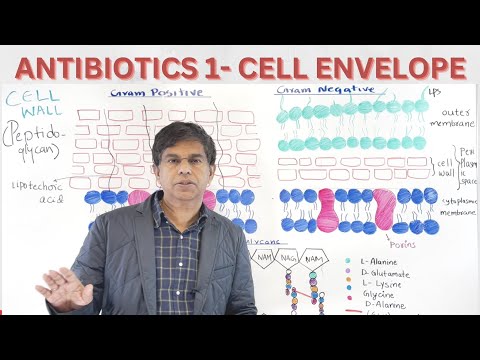 ANTIBIOTICS 1 - BACTERIAL CELL ENVELOPE - BY Dr. PRAMIL CHERIYATH