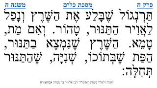 מסכת כלים פרק ח משנה ה