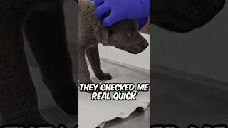 He Saw His Rescuer and felt Hope for the First Time