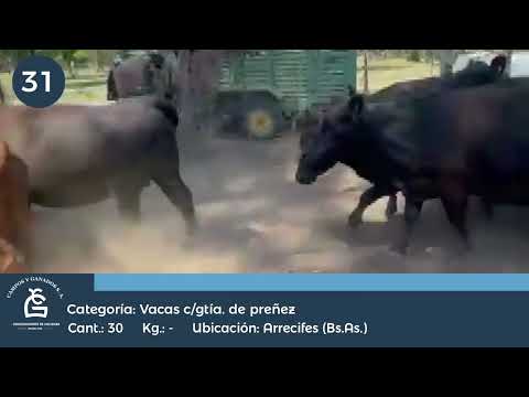 Lote Vc CGP - Arrecifes Bs As