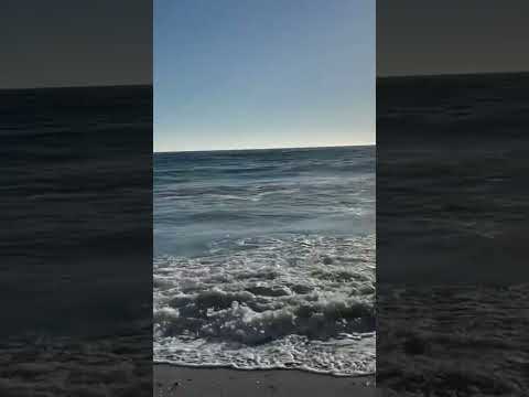 Encinitas beach 🏝 🏄‍♂️