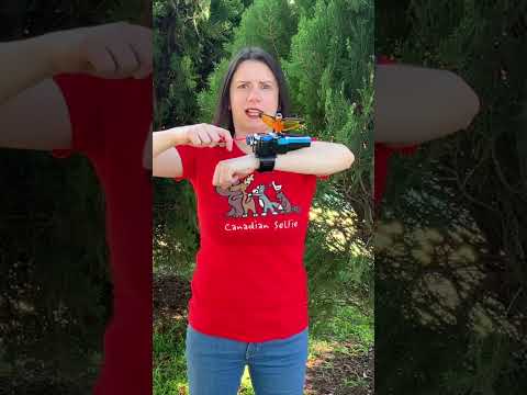 Beast Morphers Red Ranger Gender Bent Cosplay! #Shorts