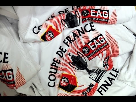 Rennes - Guingamp (finale de la Coupe de France 20